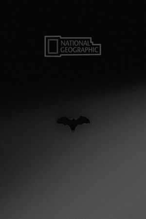 National Geographic: Wild Worlds Weirdest Freaks of Nature